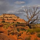 Canyonlands