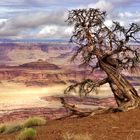 Canyonlands - Dead Horse Point