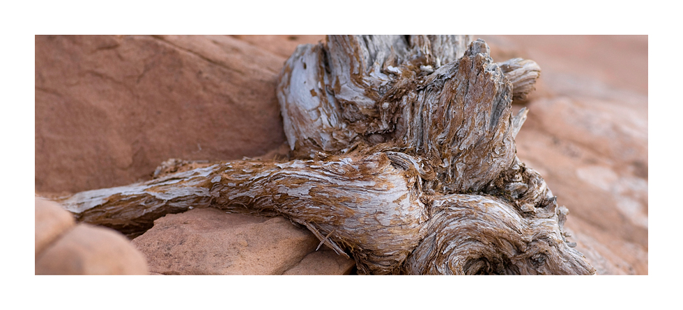 canyonlands detail