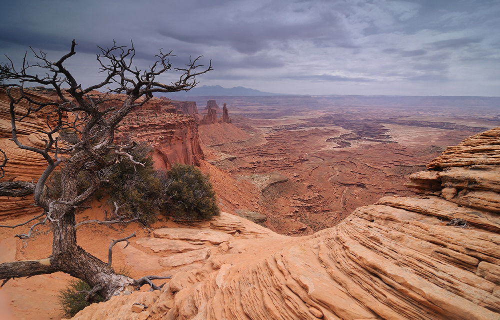 Canyonlands