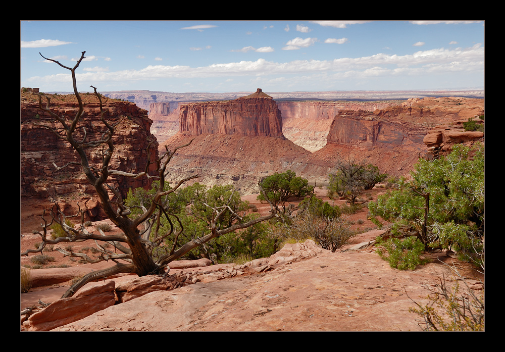 [ Canyonlands ]