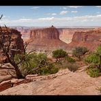 [ Canyonlands ]