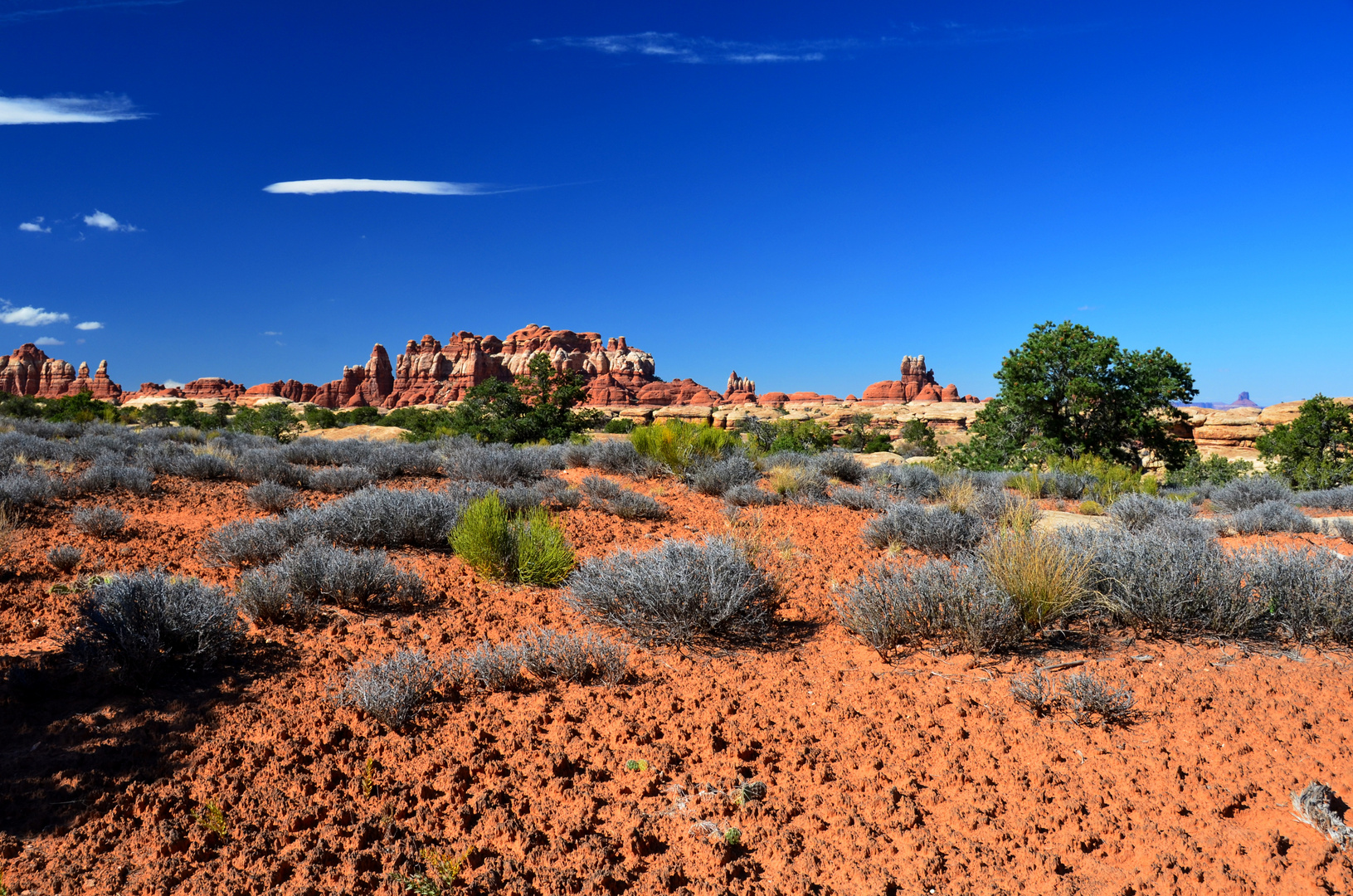 Canyonlands