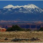 Canyonlands - Island in the Sky I