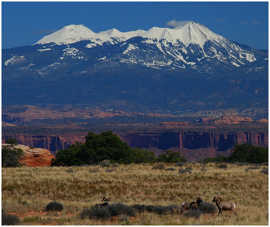 Canyonlands - Island in the Sky I