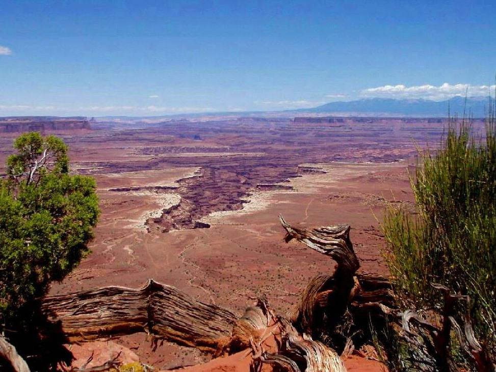 Canyonlands N. P.