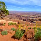 Canyonlands-Nationalpark Mai 2014