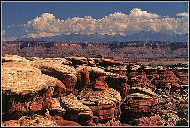 Canyonlands - Needles