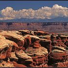 Canyonlands - Needles