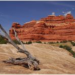 Canyonlands - Needles I