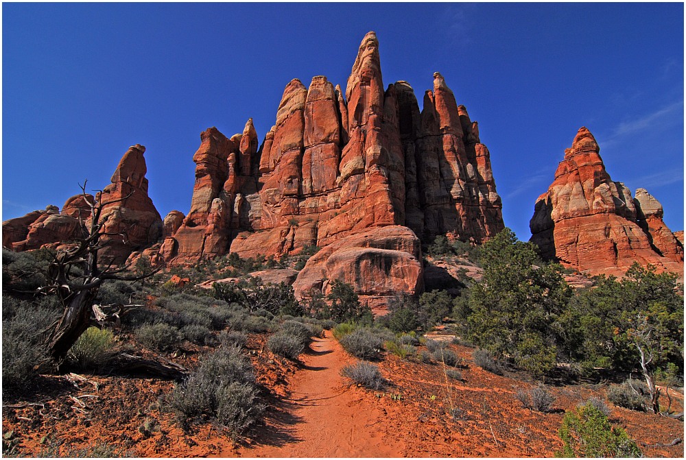 Canyonlands - Needles IV