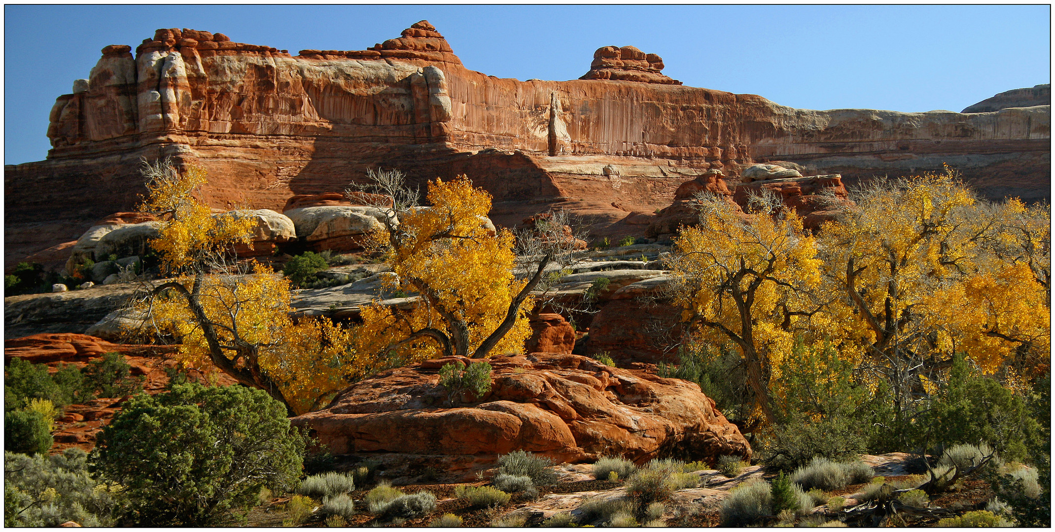 Canyonlands NP # 01