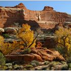 Canyonlands NP # 01