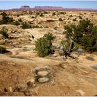 Canyonlands NP # 02