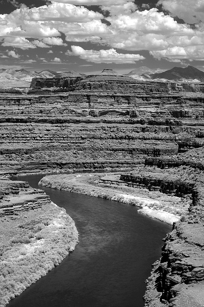 Canyonlands N.P.