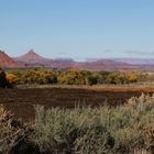 Canyonlands NP - am unteren Indian Creek...