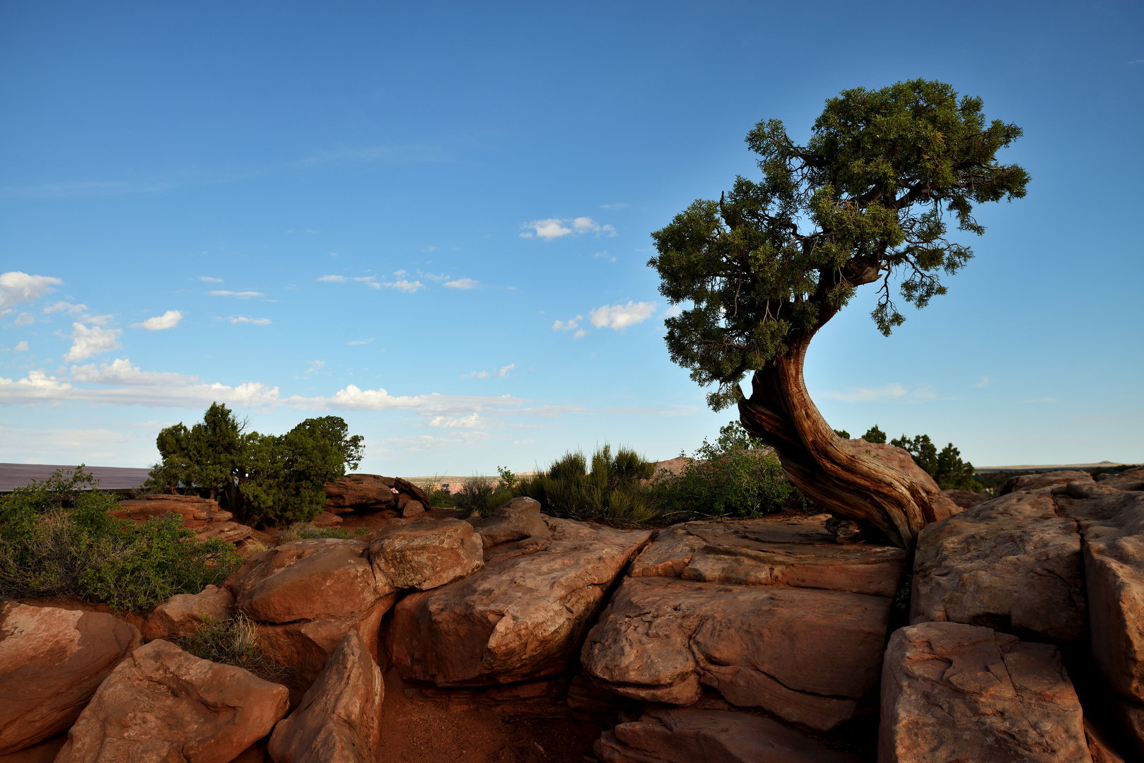 Canyonlands NP: Am Wegesrand