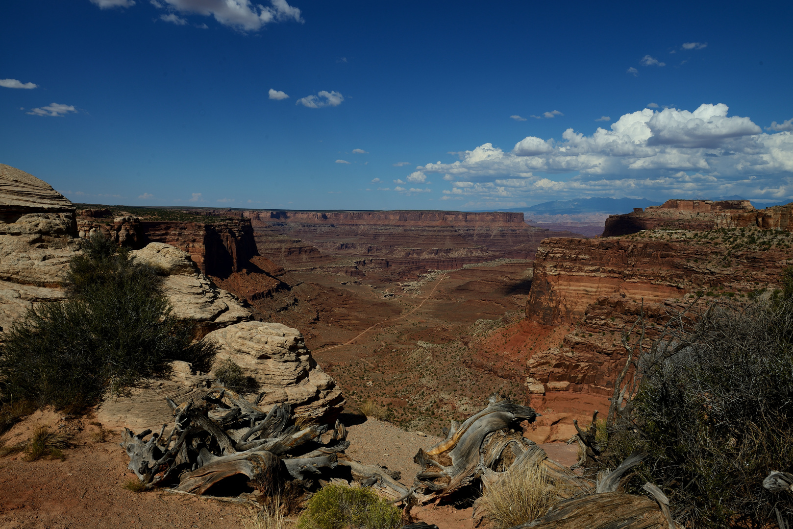 Canyonlands NP: Blick in den Canyon