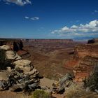 Canyonlands NP: Blick in den Canyon