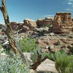 Canyonlands NP - Needles District