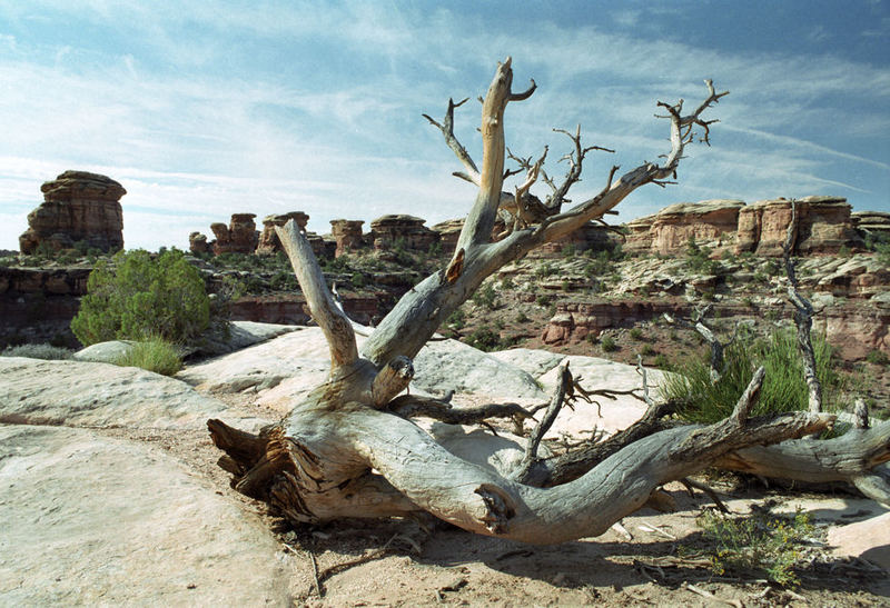 Canyonlands NP - Needles District