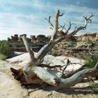 Canyonlands NP - Needles District