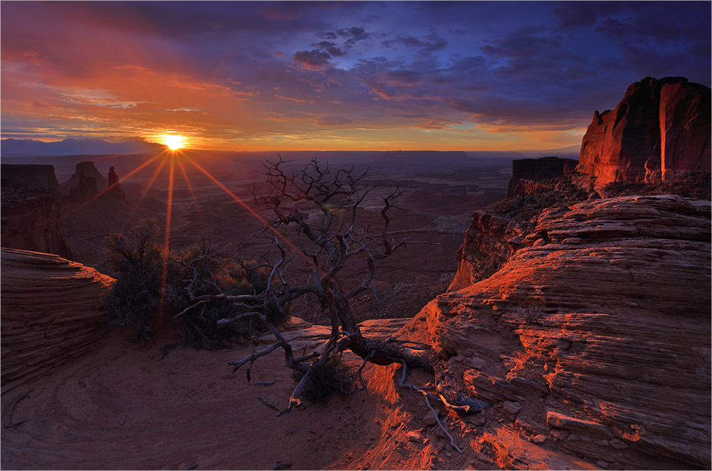 Canyonlands on Fire