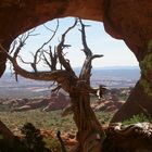 Canyonlands   USA