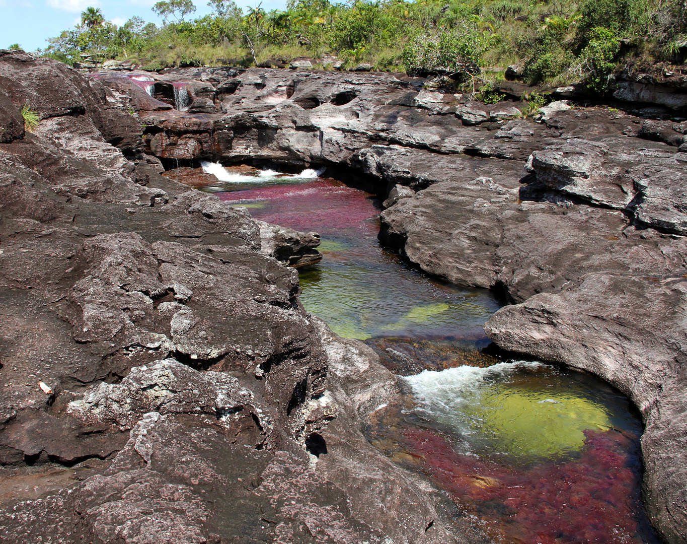 Caño Cristales