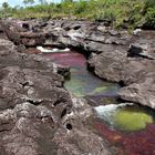 Caño Cristales