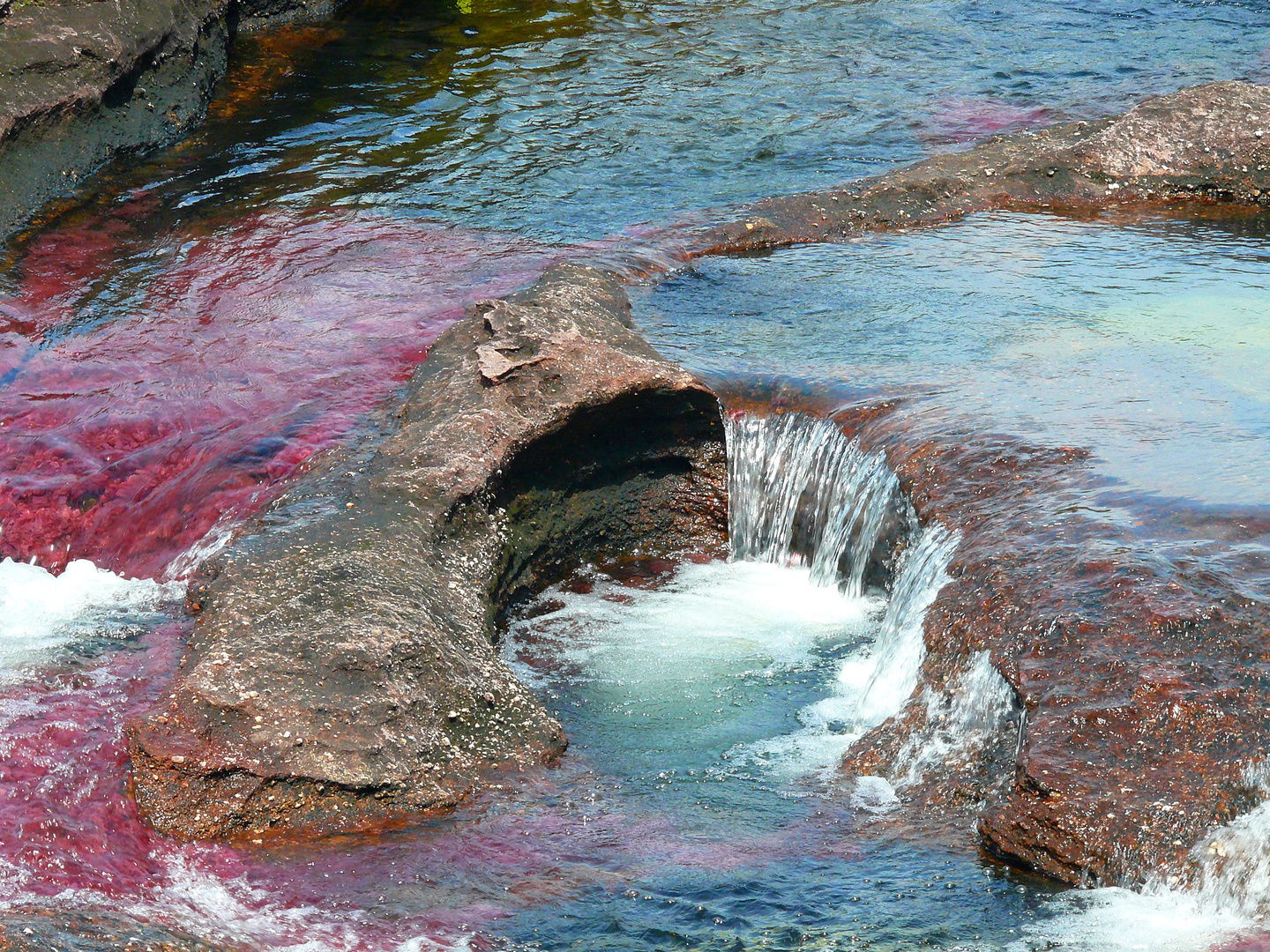 Caño Cristales