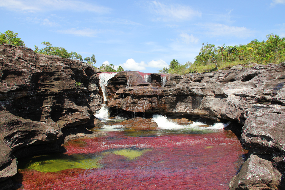 Caño Cristales. Colombia