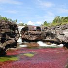 Caño Cristales. Colombia