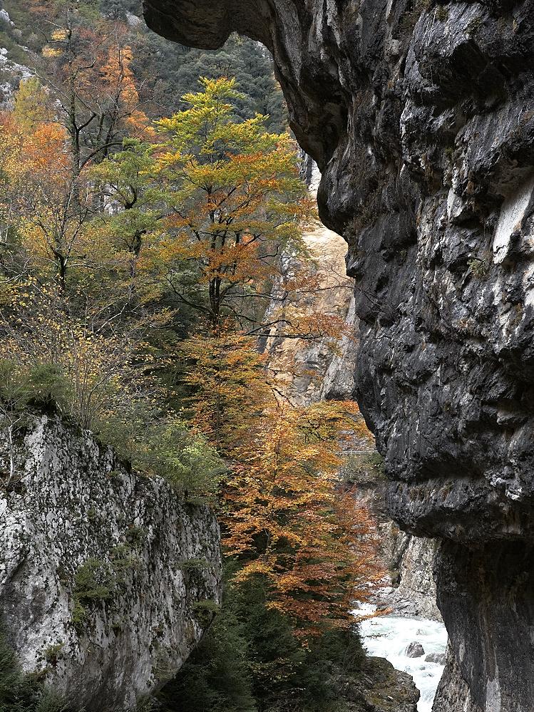 Cañón de Añisclo