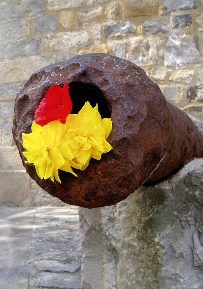 cañón de flores