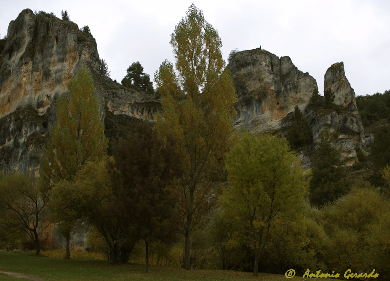 Cañon de Rio Lobos