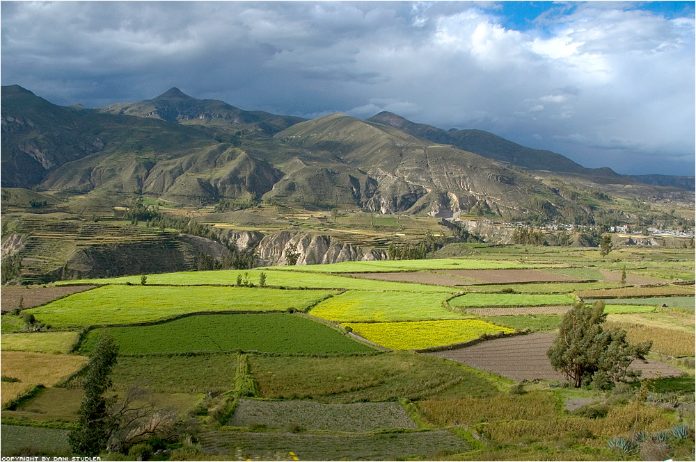 Cañón del Colca