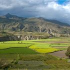 Cañón del Colca