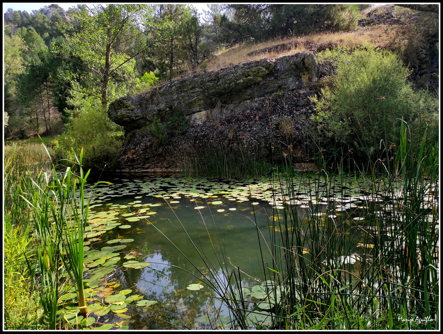 Cañón del río Lobos (Soria)