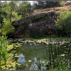 Cañón del río Lobos (Soria)