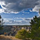 Cañón del rio Lobos. Ucero. Soria