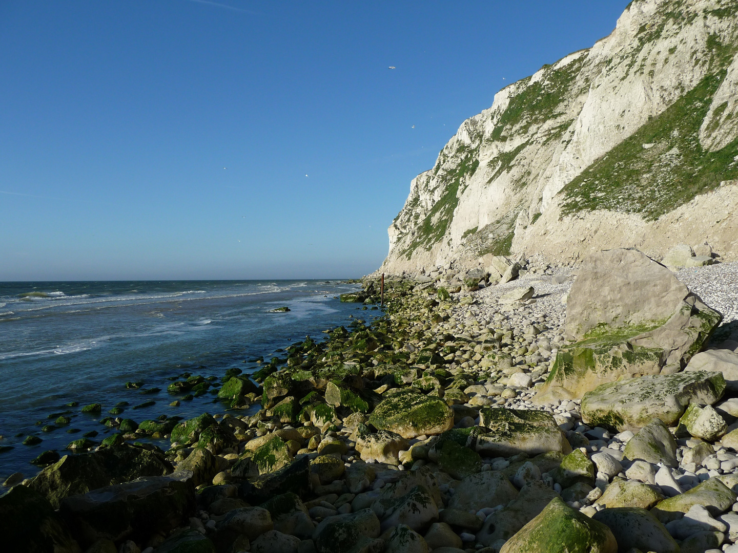 Cap blanc nez