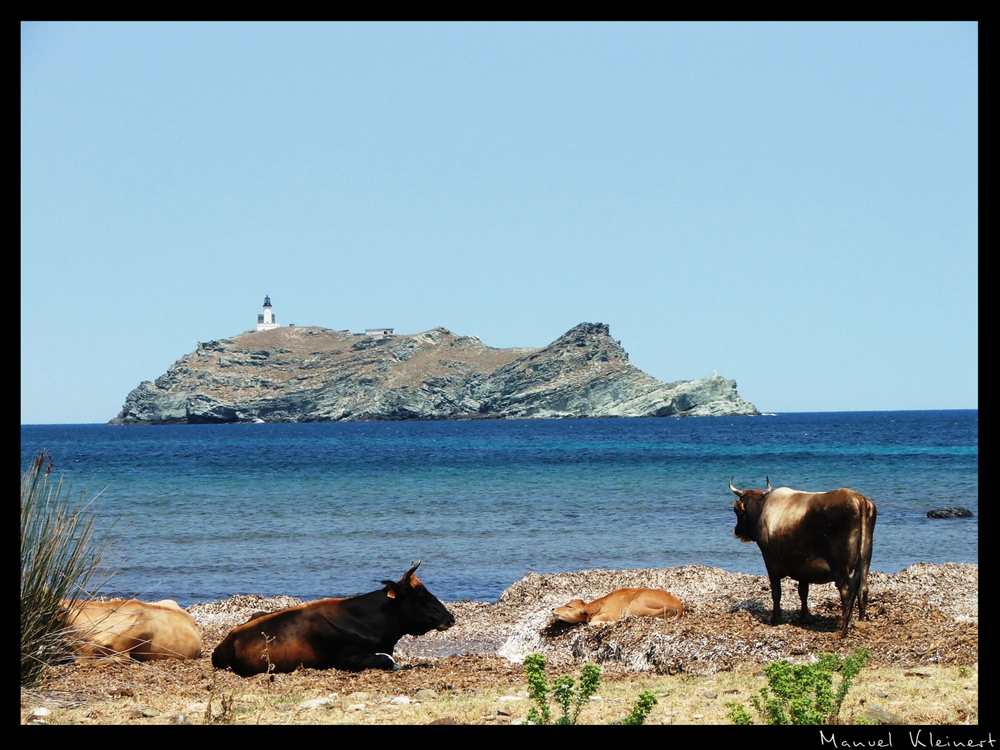 Cap Corse