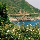 Cap Corse: Tour de Losse