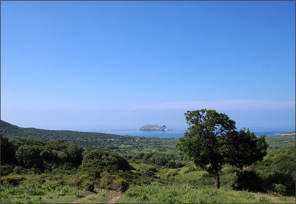 CAP - CORSE VI