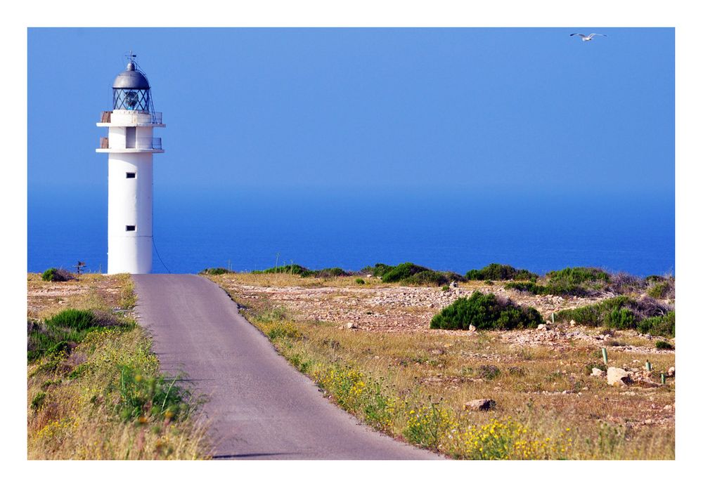 Cap de Barbaria