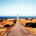 CAP DE BARBERIA / FORMENTERA