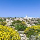 Cap de Cavalleria