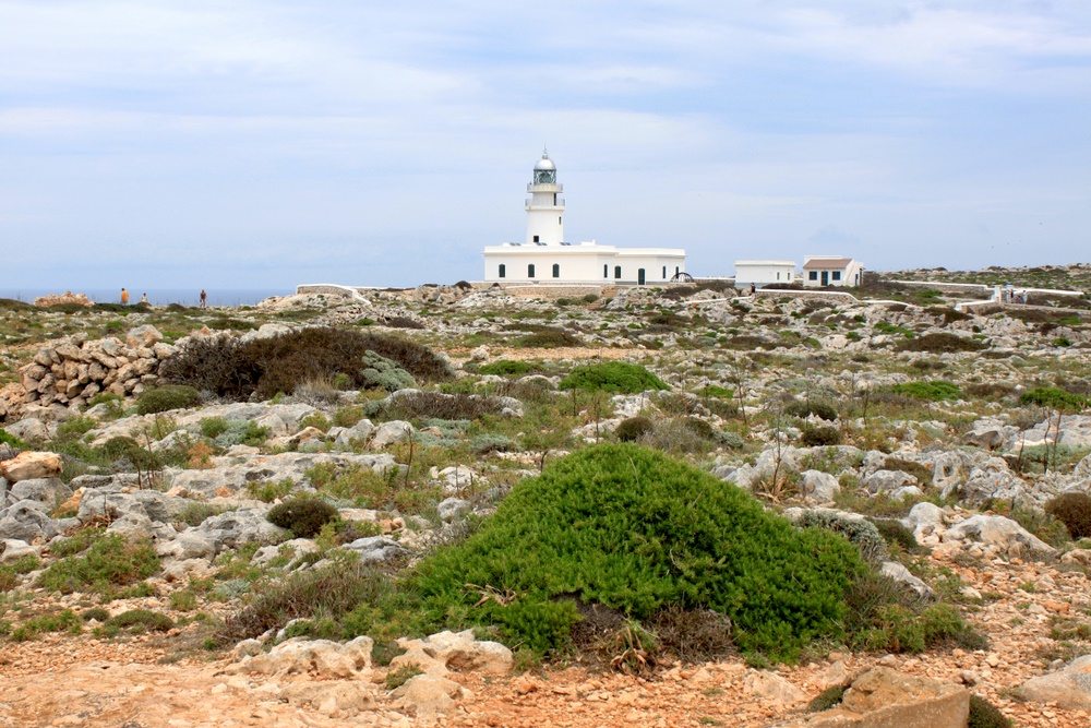 Cap de Cavalleria (2)