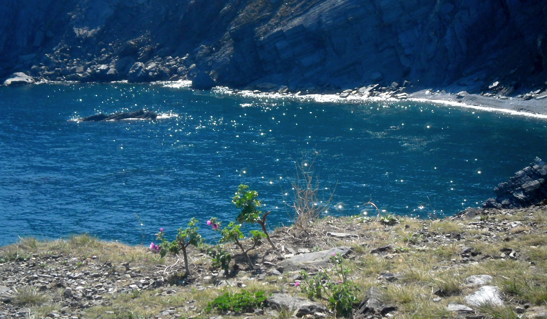 Cap de Cerbère